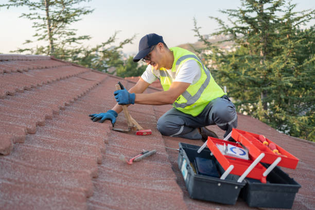 Best Roof Leak Repair  in Ceredo, WV